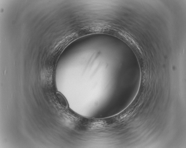 X0000060740505200511141136