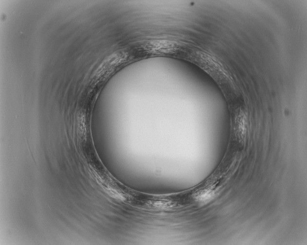 X0000060740506200511141136