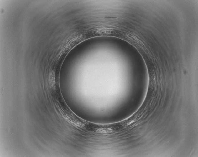 X0000060740508200511141136