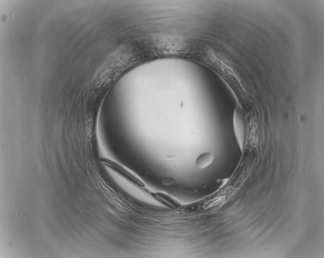 X0000060740509200511141136