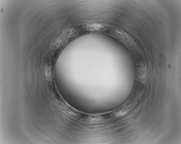 X0000060740510200511141136