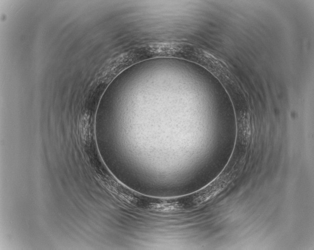 X0000060740511200511141136