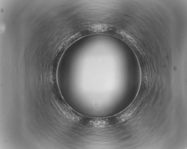 X0000060740512200511141136