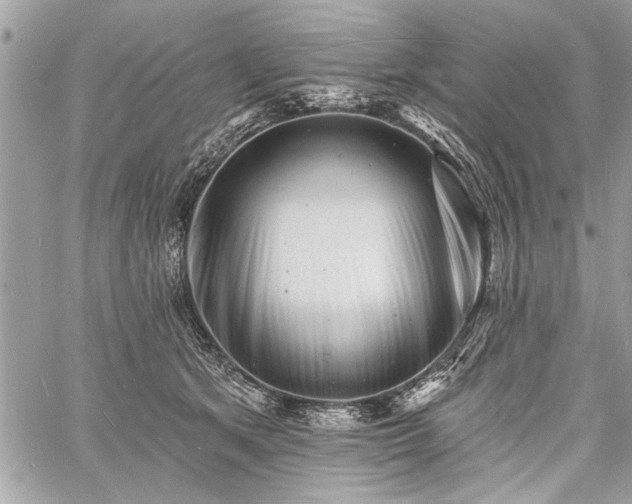 X0000060740513200511141136