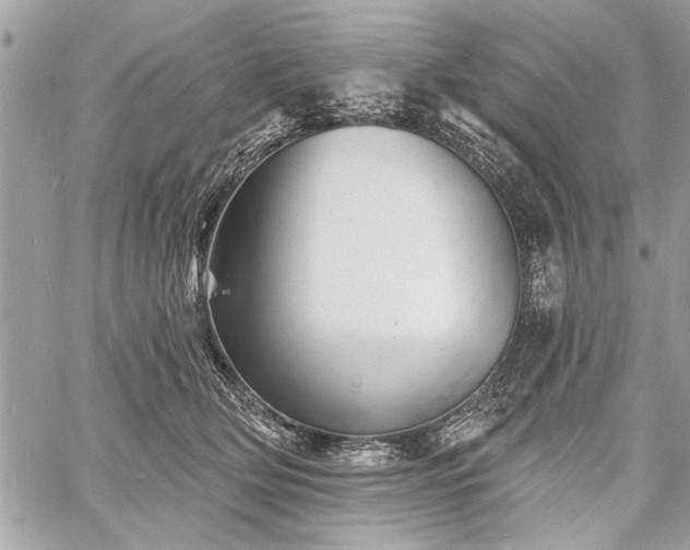 X0000060740514200511141136