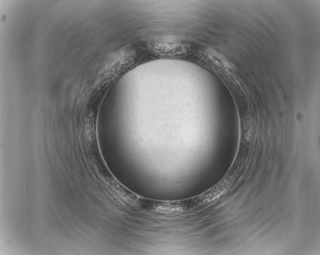 X0000060740515200511141136