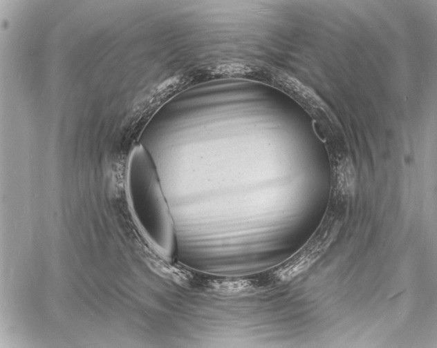 X0000060740517200511141136