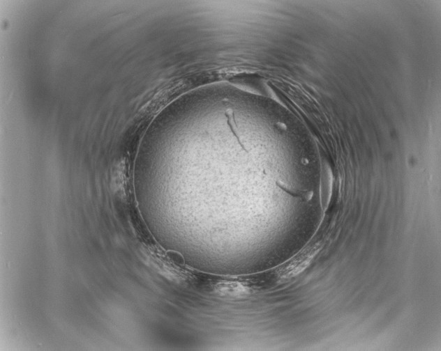 X0000060740519200511141136