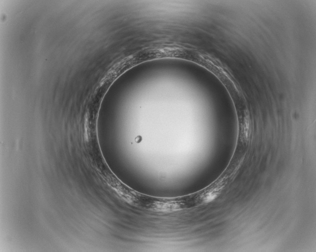 X0000060740520200511141136