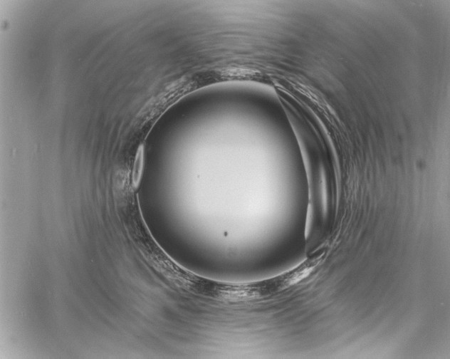 X0000060740521200511141136