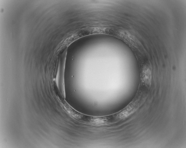 X0000060740522200511141136