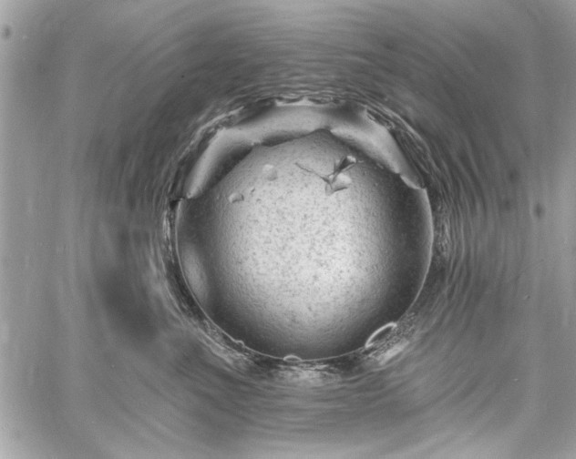 X0000060740523200511141136