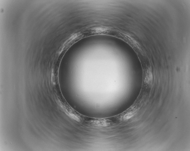 X0000060740524200511141136