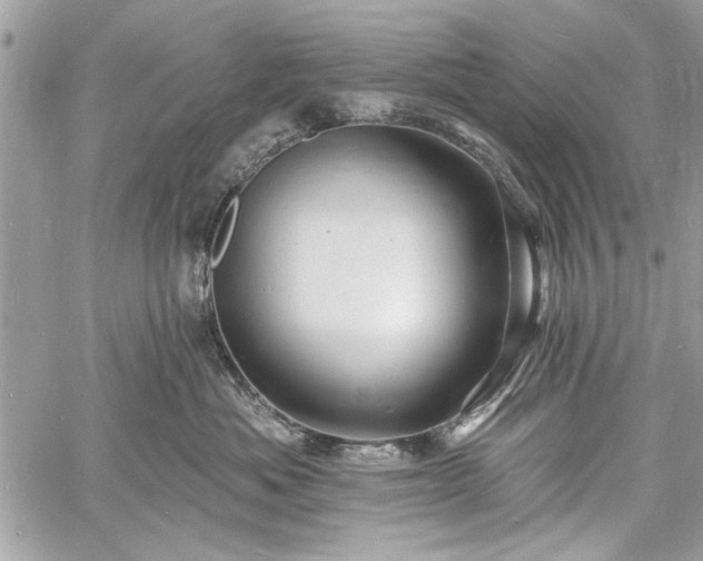 X0000060740525200511141136