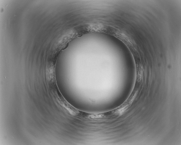 X0000060740526200511141136