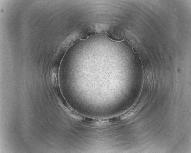 X0000060740527200511141136