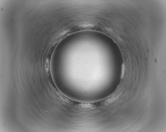 X0000060740528200511141136