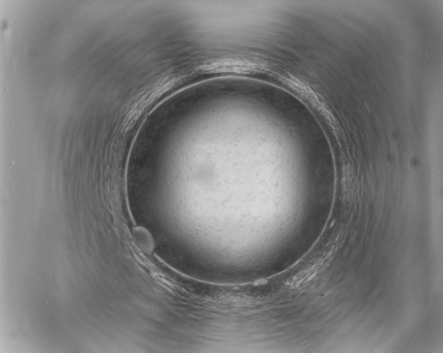 X0000060740529200511141135