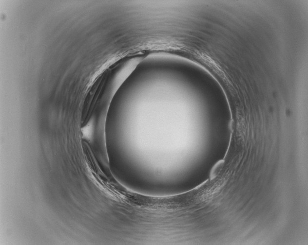 X0000060740530200511141135