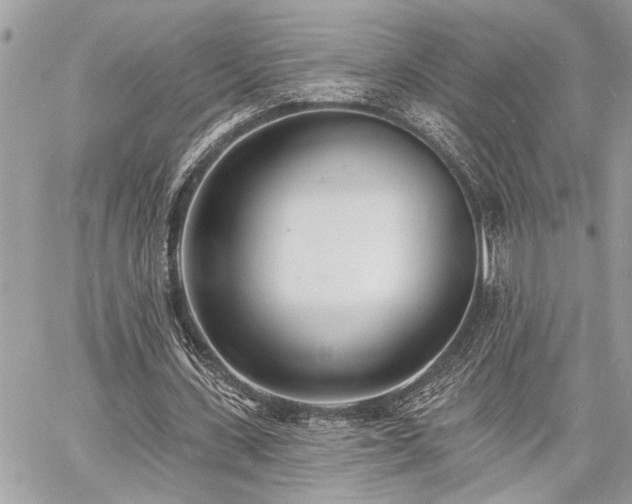 X0000060740531200511141135