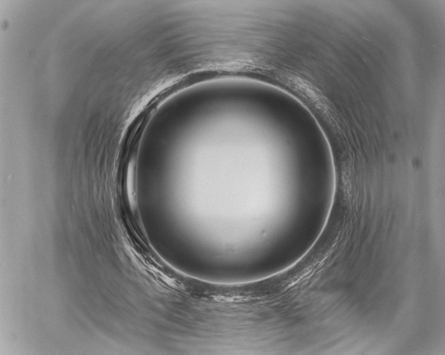 X0000060740532200511141135