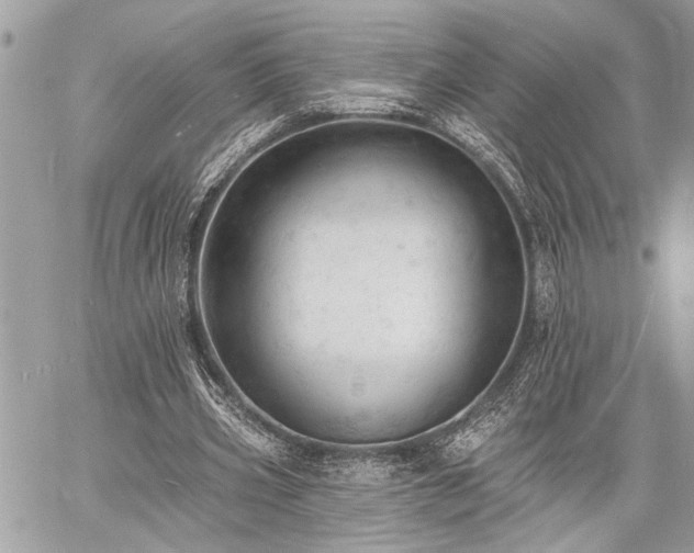 X0000060740533200511141135