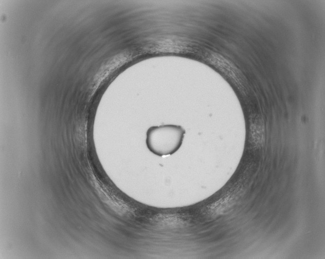 X0000060740534200511141135