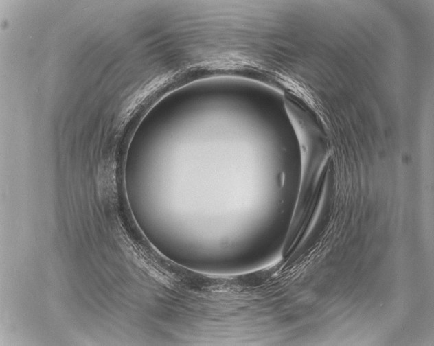 X0000060740535200511141135