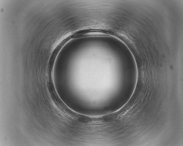 X0000060740536200511141135