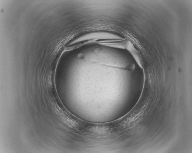 X0000060740537200511141135