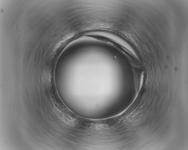 X0000060740539200511141135