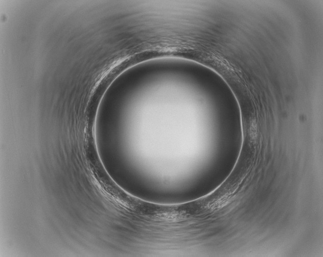 X0000060740540200511141135