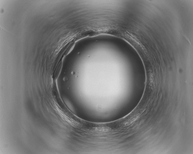 X0000060740541200511141135