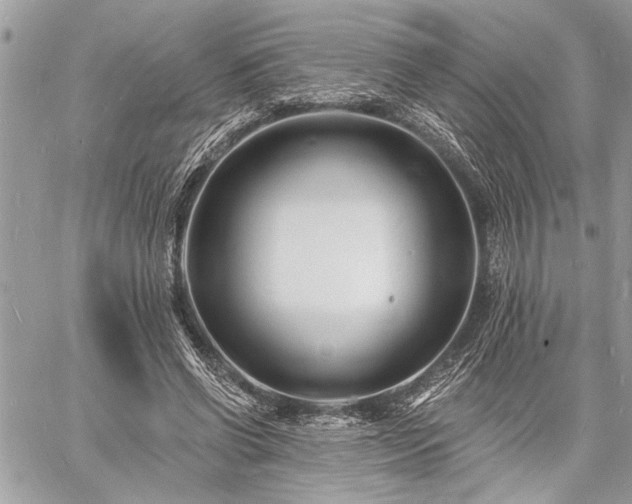 X0000060740542200511141135