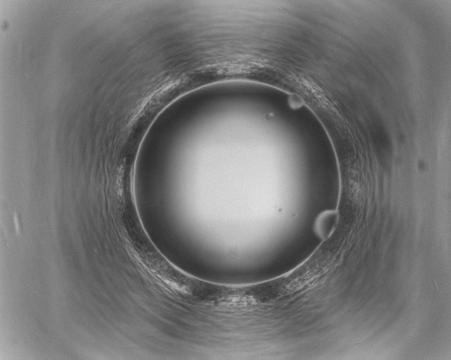 X0000060740543200511141135