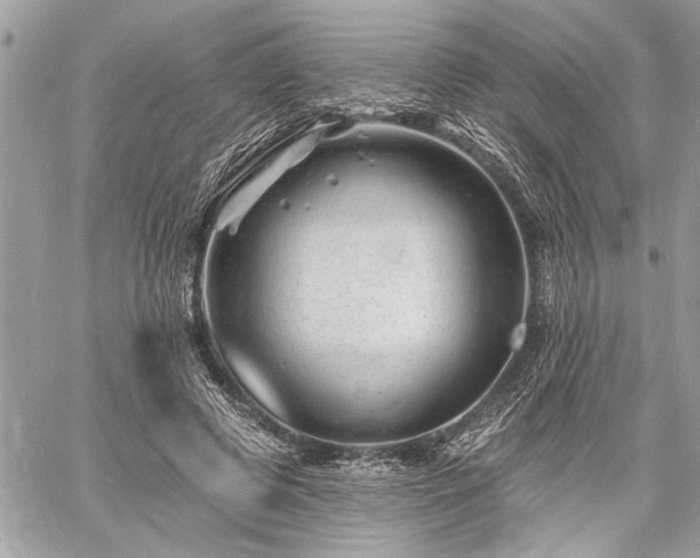 X0000060740545200511141135