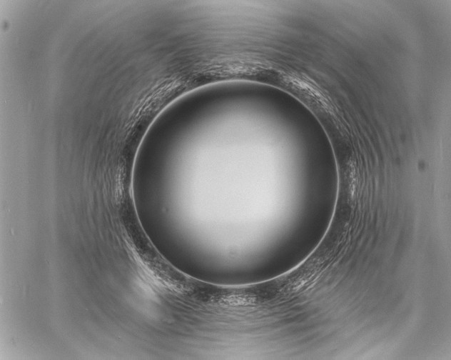 X0000060740546200511141135