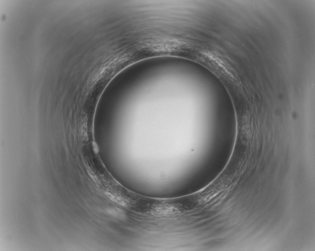 X0000060740547200511141135