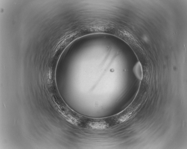 X0000060740548200511141135