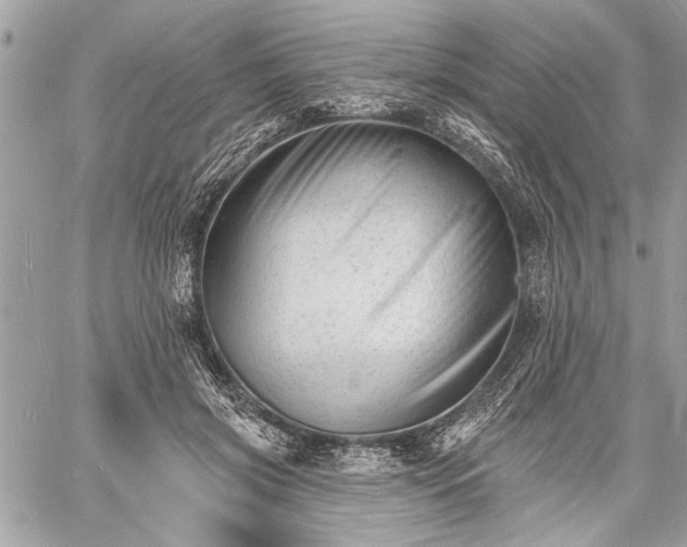 X0000060740549200511141135