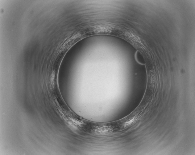 X0000060740550200511141136