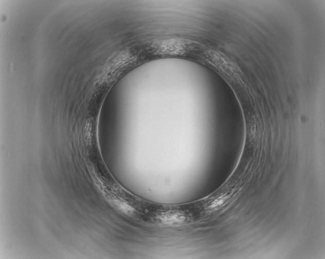 X0000060740551200511141136