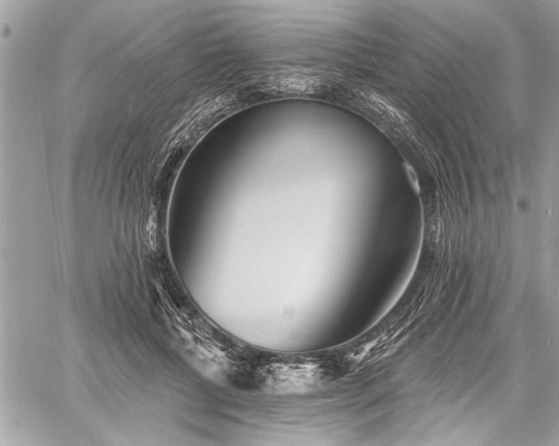 X0000060740552200511141136