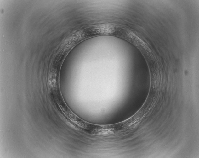 X0000060740553200511141136