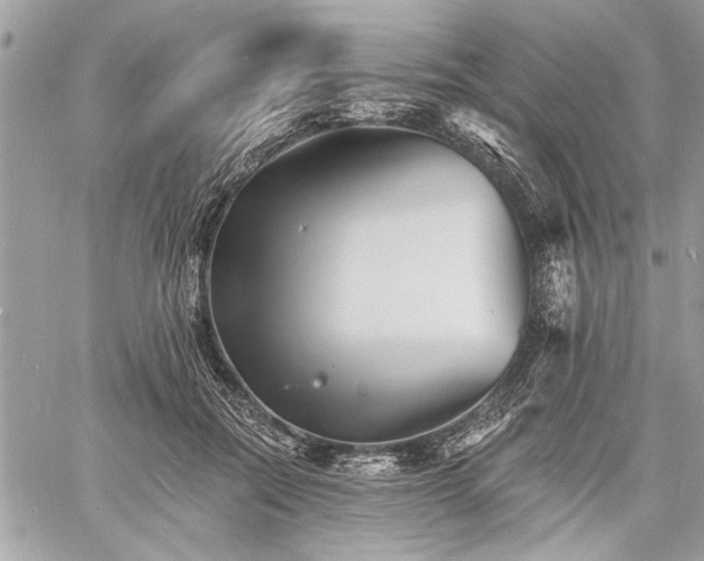 X0000060740554200511141136