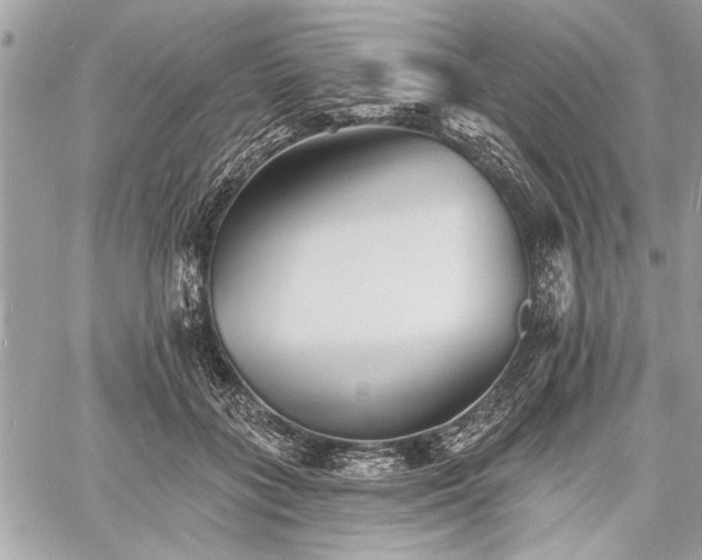 X0000060740555200511141136