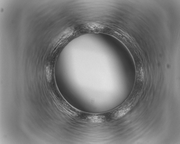 X0000060740558200511141136