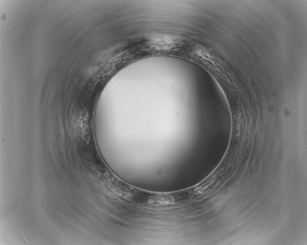 X0000060740559200511141136