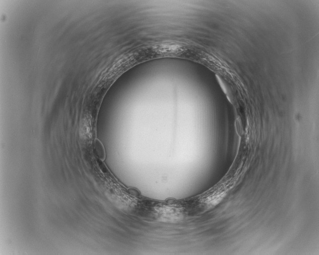 X0000060740561200511141136