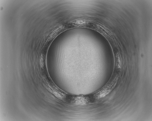 X0000060740562200511141136